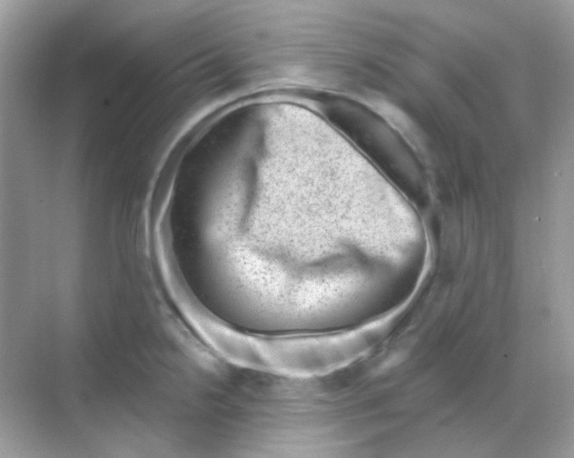 X0000068281238200605121903