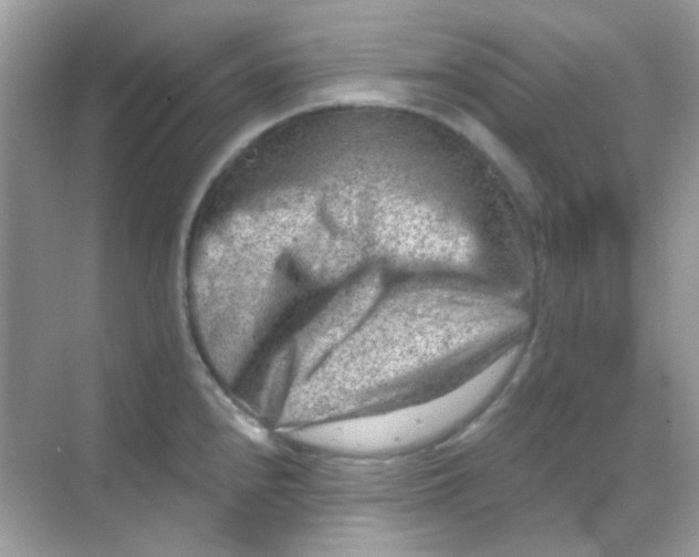 X0000068281240200605121904