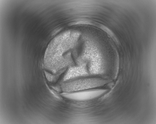 X0000068281241200605121904