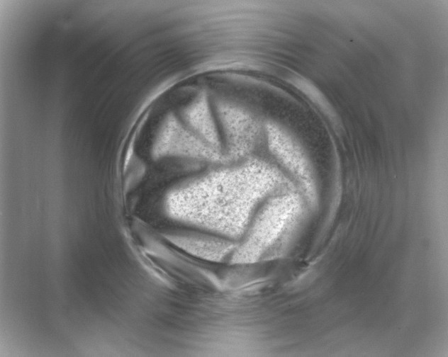 X0000068281242200605121904