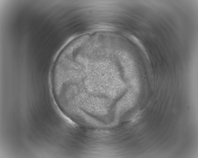 X0000068281243200605121904