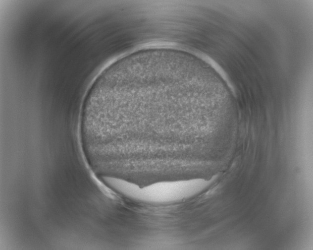 X0000068281245200605121904