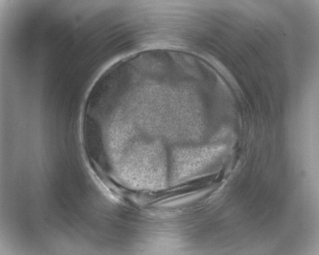 X0000068281246200605121904