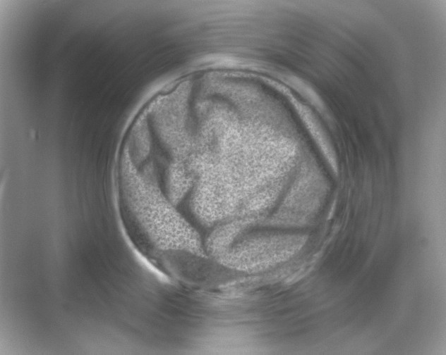 X0000068281247200605121904