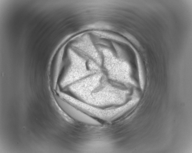 X0000068281248200605121904