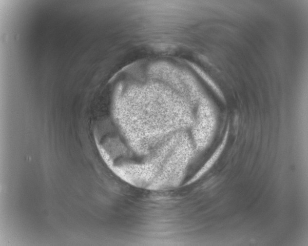 X0000068281249200605121903