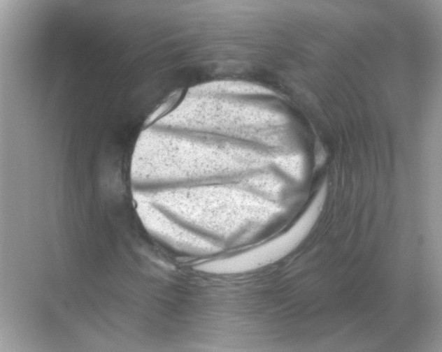 X0000068281250200605121903