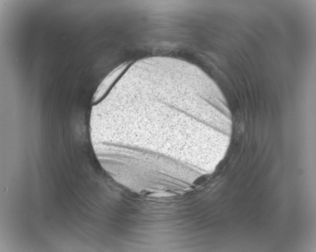 X0000068281252200605121903