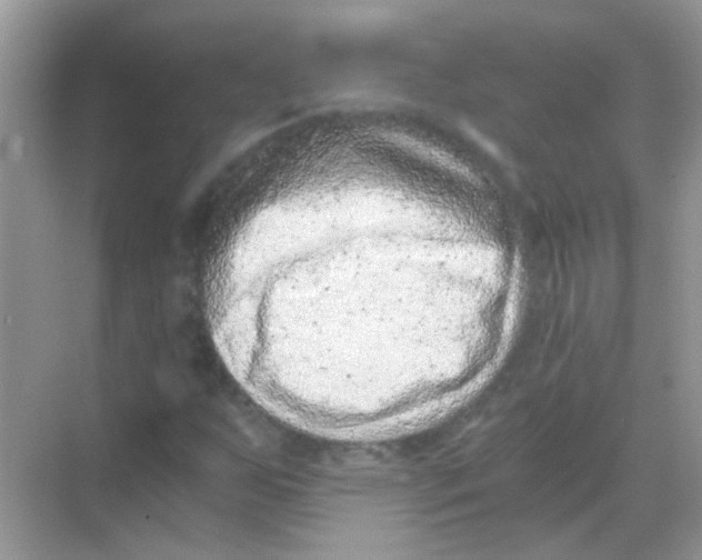 X0000068281255200605121903