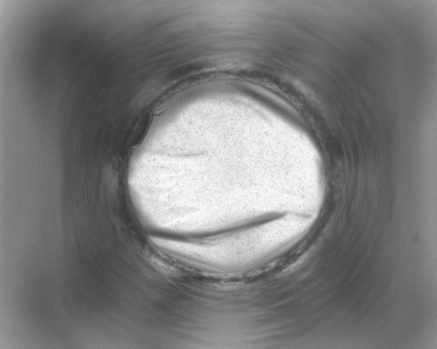 X0000068281257200605121903