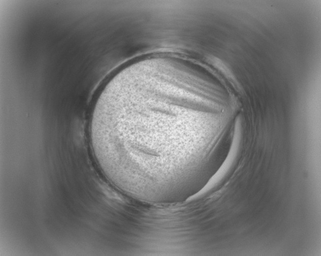 X0000068281260200605121903