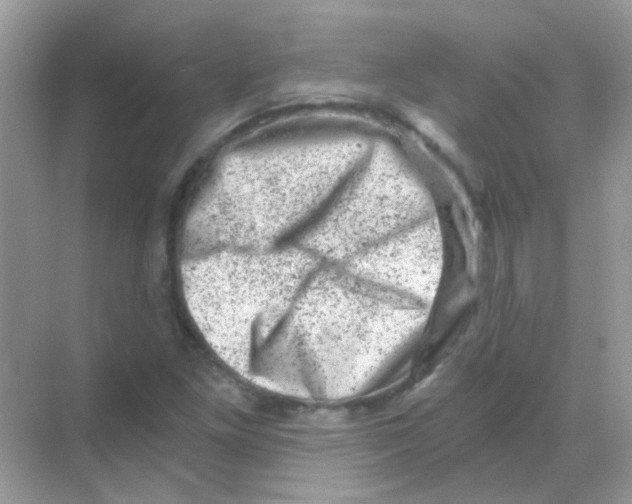 X0000068281261200605121903