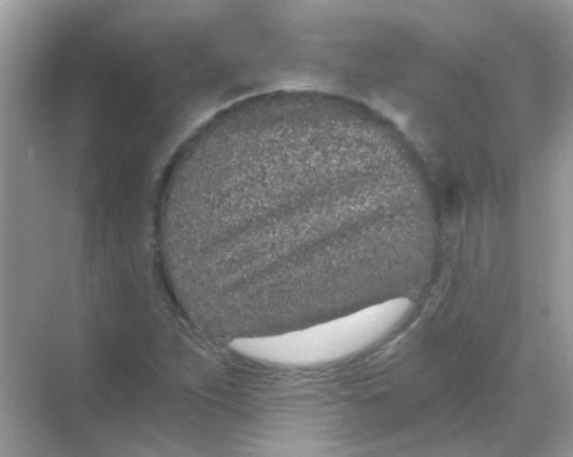 X0000068281263200605121903