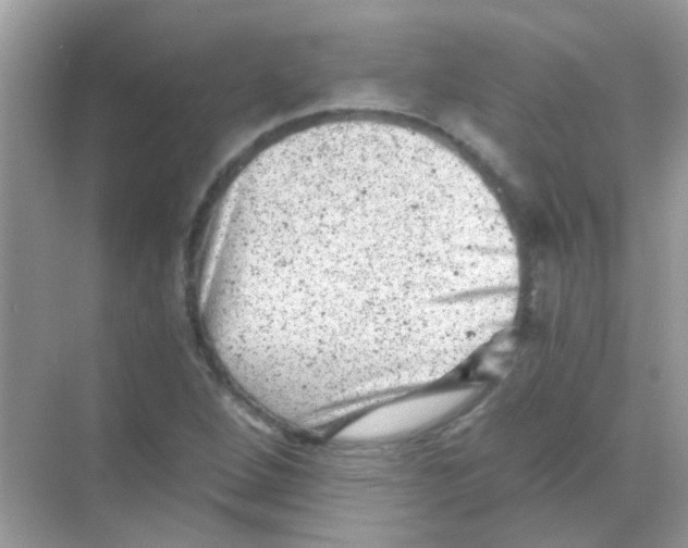 X0000068281264200605121903