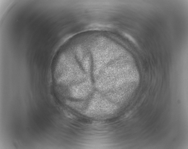 X0000068281267200605121903