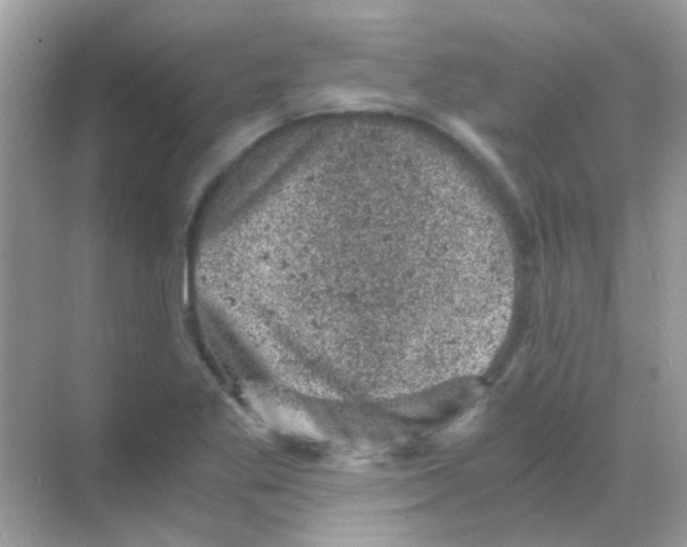 X0000068281269200605121903