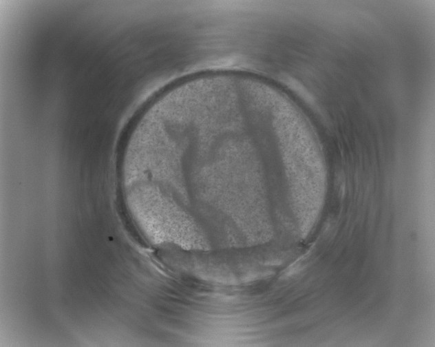 X0000068281270200605121902