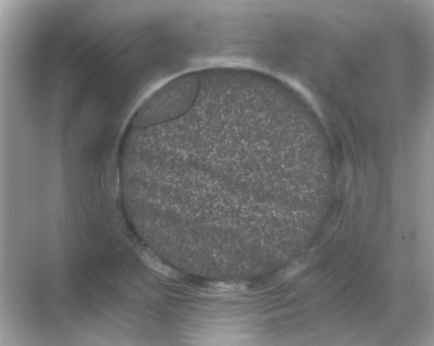 X0000068281271200605121902