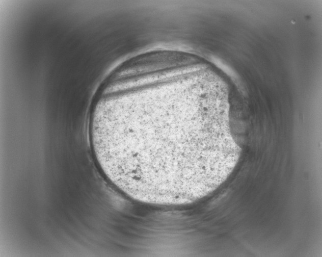 X0000068281272200605121902