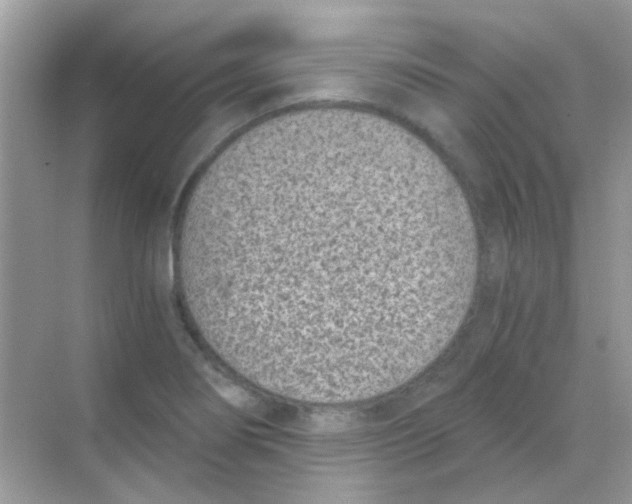 X0000068281274200605121902