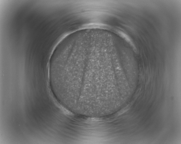 X0000068281275200605121902