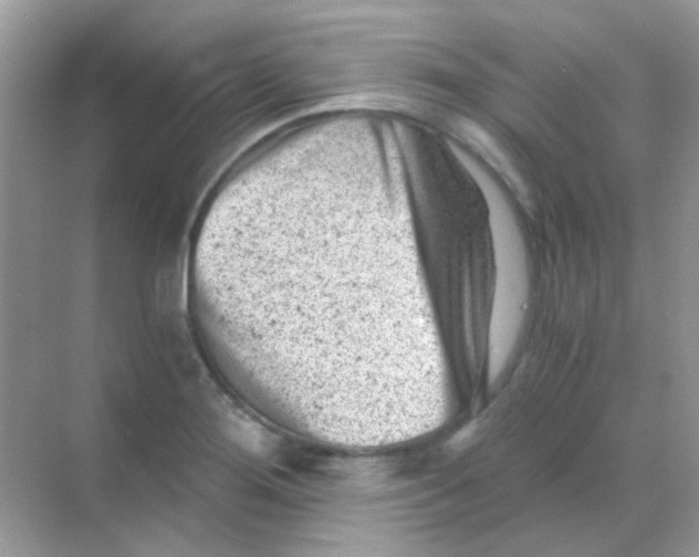 X0000068281276200605121902