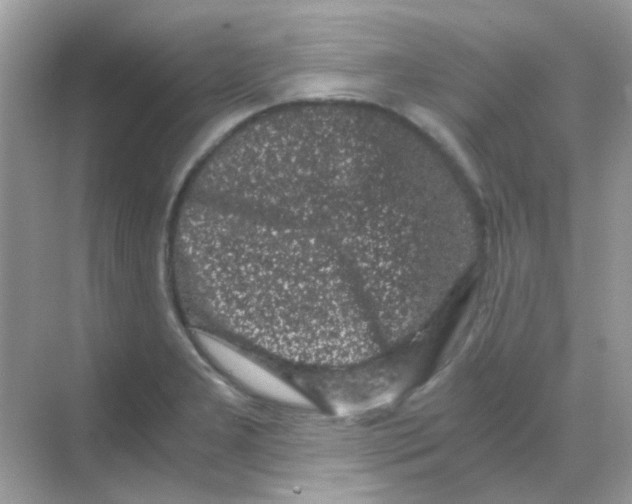 X0000068281277200605121902