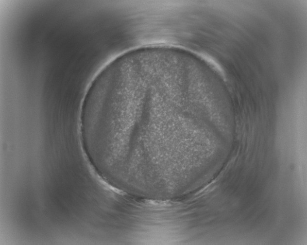 X0000068281279200605121902