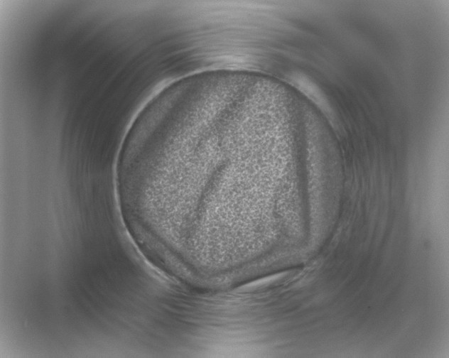 X0000068281283200605121902