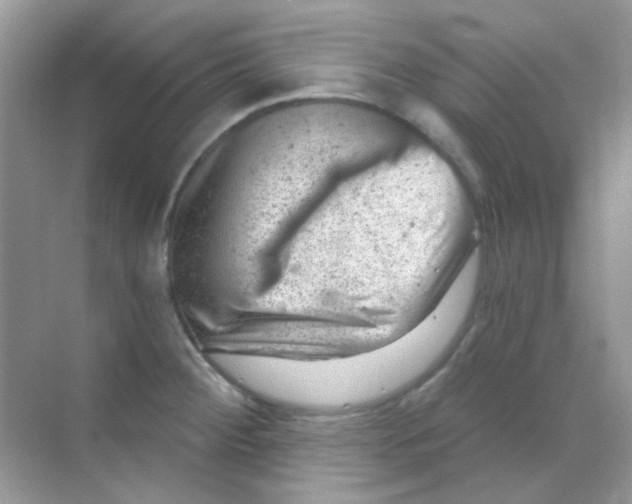 X0000068281284200605121902