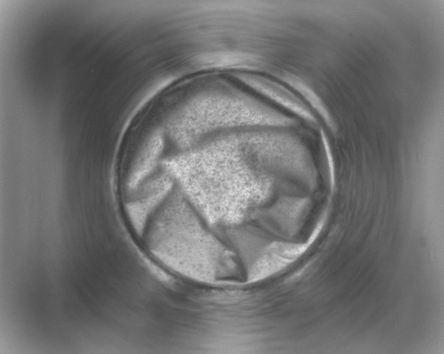 X0000068281285200605121902