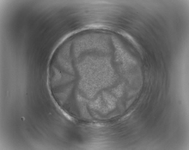 X0000068281286200605121902