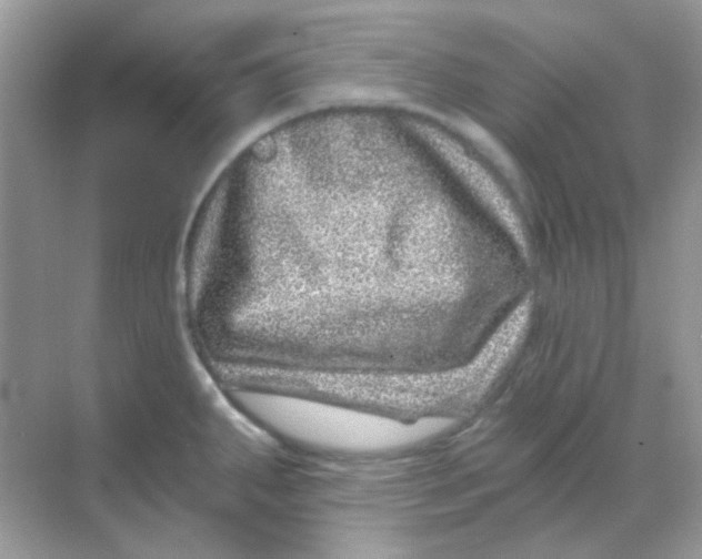 X0000068281287200605121902