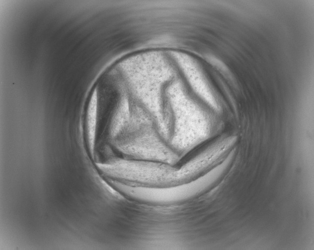 X0000068281288200605121902