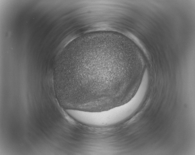 X0000068281289200605121902