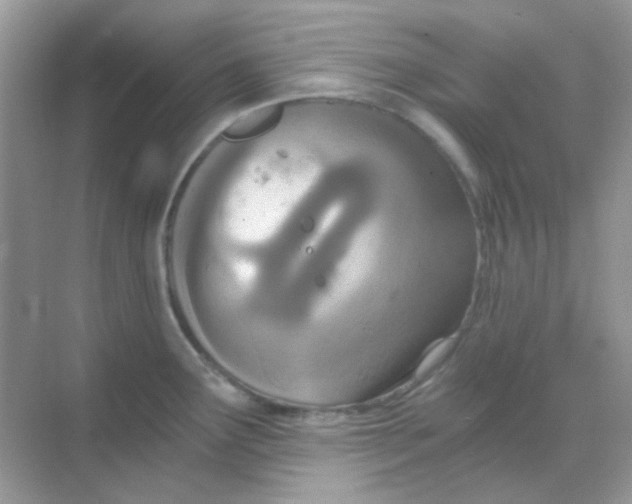 X0000068281291200605121902