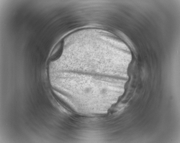 X0000068281292200605121902