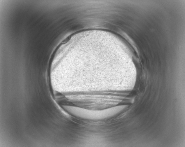 X0000068281293200605121902