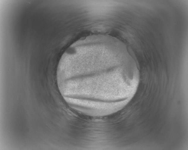 X0000068281297200605121901