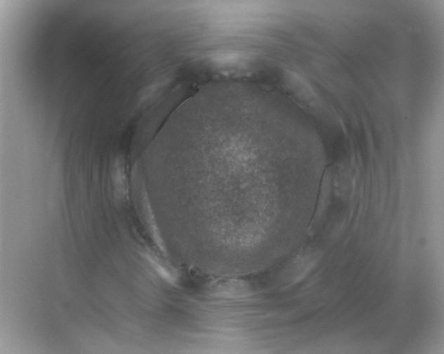 X0000068281298200605121901