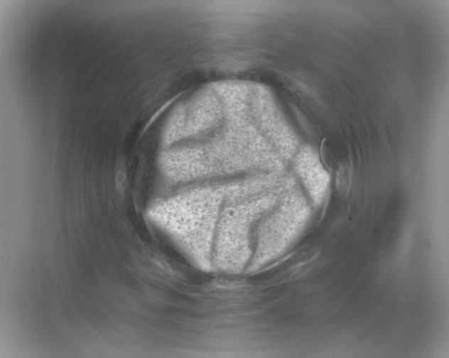 X0000068281299200605121901