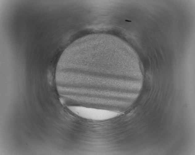 X0000068281300200605121901