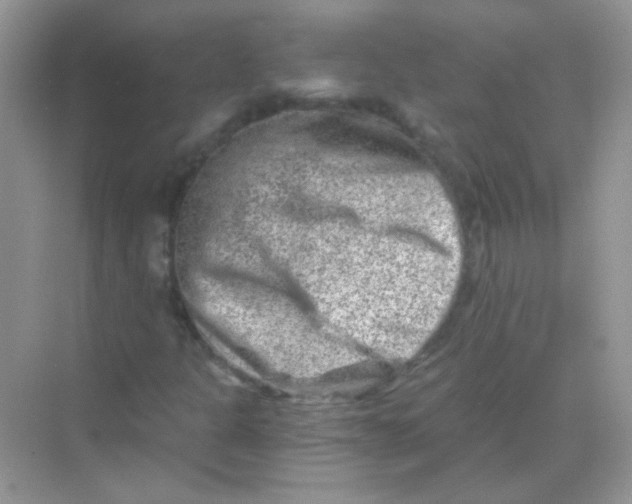 X0000068281301200605121901