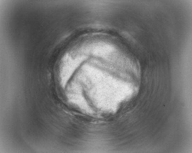 X0000068281302200605121901