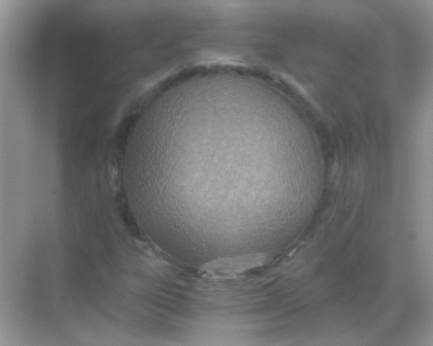 X0000068281303200605121901