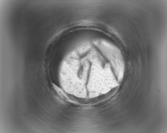 X0000068281304200605121901