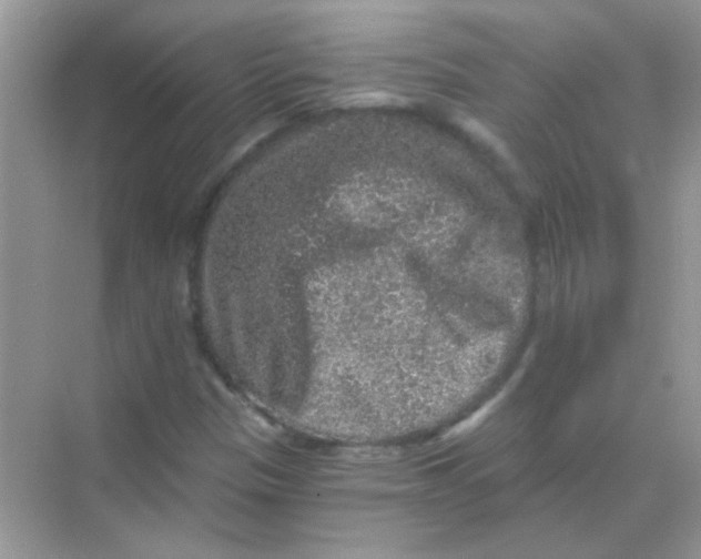 X0000068281305200605121901