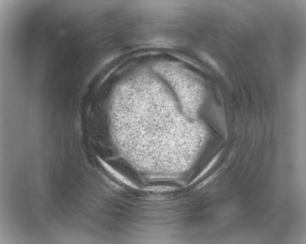 X0000068281307200605121901