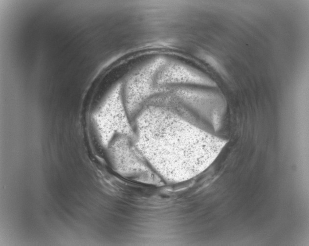 X0000068281308200605121901