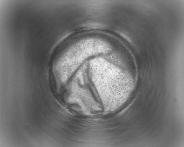 X0000068281309200605121901